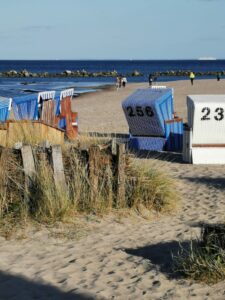 Strandkürbe
